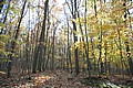 20061029__1508_115.JPG