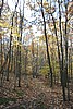 20061029__1509_118.JPG
