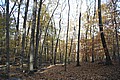 20061029__1514_126.JPG