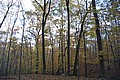 20061029__1518_128.JPG