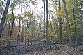 20061029__1519_129.JPG