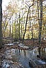 20061029__1520_130.JPG