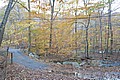 20061029__1528_133.JPG