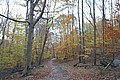 20061029__1529_134.JPG