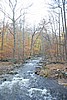 20061029__1531_141.JPG