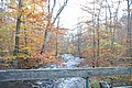 20061029__1531_142.JPG