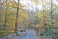 20061029__1532_143.JPG
