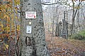 20061029__1533_145.JPG
