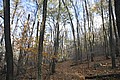 20061029__1559_151.JPG