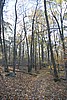 20061029__1600_152.JPG