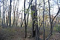 20061029__1608_156.JPG