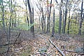 20061029__1610_157.JPG