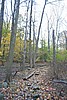 20061029__1611_158.JPG