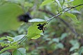20061029__1614_160.JPG