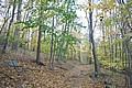 20061029__1620_162.JPG