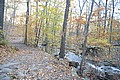 20061029__1625_167.JPG