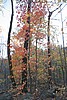 20061029__1629_168.JPG