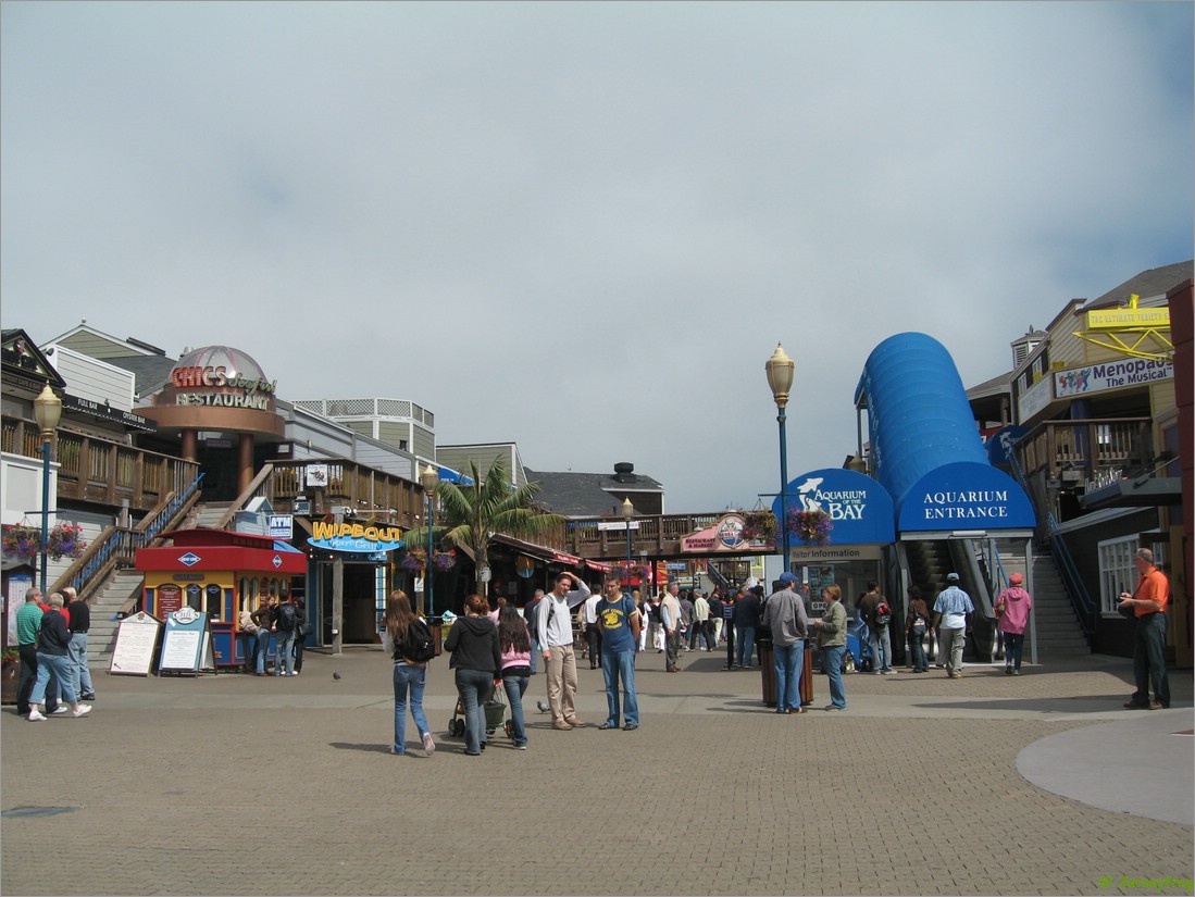 20060906_1332_003.jpg