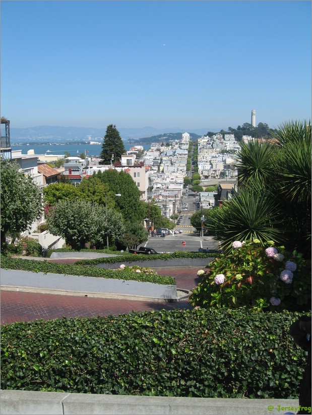 20060906_1646_035.jpg