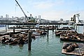 20060906_1459_009.JPG