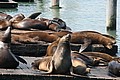 20060906_1500_010.JPG