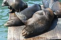 20060906_1503_012.JPG