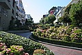 20060906_1735_048.JPG