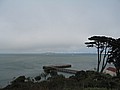 20060906_1834_062.jpg