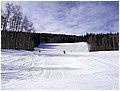 IMG_3111.jpg