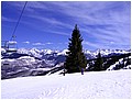IMG_3162.jpg