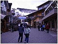 IMG_3259.jpg
