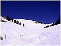 IMG_3364.jpg