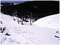 IMG_3365.jpg