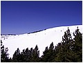 IMG_3367.jpg