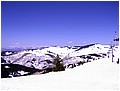 IMG_3401.jpg