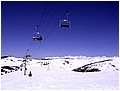 IMG_3402.jpg