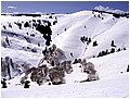 IMG_3433.jpg