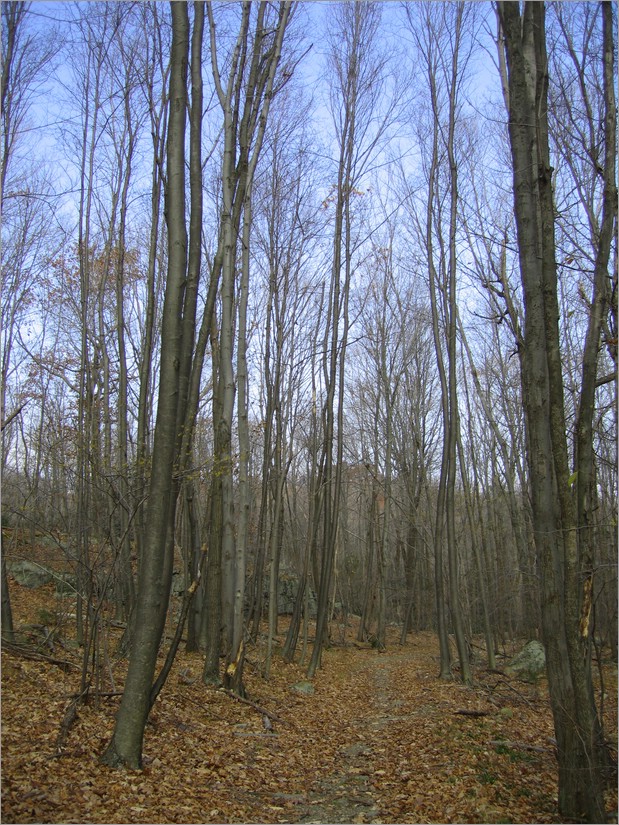 20061105__1248_063.JPG