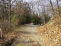 20061105__1020_010.JPG