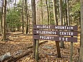 20061105__1024_011.JPG