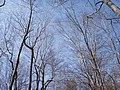 20061105__1038_020.JPG