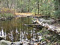 20061105__1054_021.JPG