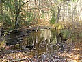 20061105__1056_023.JPG
