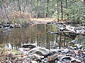 20061105__1057_025.JPG