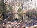 20061105__1100_027.JPG