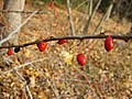 20061105__1102_029.JPG