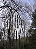 20061105__1103_031.JPG