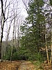 20061105__1103_032.JPG