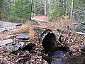 20061105__1105_034.JPG
