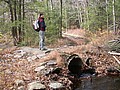 20061105__1108_036.JPG